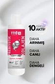 TTO-X Prebiyotik & Kolajen Kepekli ve Yağlı Saçlar Şampuan 250ml - 3