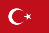 Türk Bayrağı 20X30 - 1