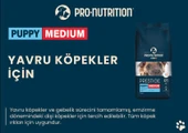 Pro Nutrition Prestige Puppy Medium Orta Irk Yavru Köpek Maması 12Kg - 3