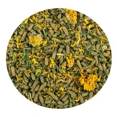 Tropical Reptil Herbivore 1000ml 260gr thumbnail 2