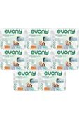 Evony Hasta Bezi Yetişkin Bel Bantlı Tekstil Yüzey L-büyük Boy 240 Adet (8pk*30) - 1