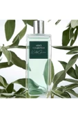 Men's Collection Adaçayının Canlandırıcı Kokusuna Sahip Wild Green EdT Erkek Parfümü - 1