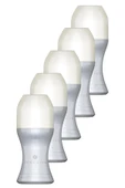 Perceive Kadın Rollon 50 Ml. Beşli Set - 1