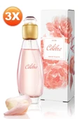 Celebre Kadın Parfüm Edt 50 Ml. Üçlü Set - 4
