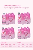 Avoya Blend Hibiskus Maden Suyu 250 ml x 24 Adet - 1