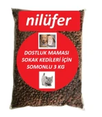 Nilüfer Sokak Kedileri İçin Somonlu Dostluk Kedi Maması 3 KG - 1