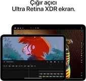iPad Pro 7. Nesil Wi-Fi 512 GB 11" MVVC3TU/A Uzay Siyahı Tablet - 2