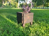 Wood&Pot Dış Mekan Küçük Boy Saksı - 28x28x30 - 1