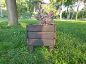Wood&Pot Dış Mekan Küçük Boy Saksı - 28x28x30 - 2