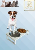 Kedi ve Köpekler İçin Mama ve Su Standı - Yüzde 10 Eğimli, Yüksek Kalite ve Sağlıklı Tasarım - 1