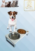 Kedi ve Köpekler İçin Mama ve Su Standı - Yüzde 10 Eğimli, Yüksek Kalite ve Sağlıklı Tasarım - 1