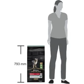 Pro Plan Puppy Medium Kuzu Etli Orta Irk Yavru Köpek Maması 12Kg - 1