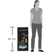 Pro Plan Adult Large Robust Kuzu Etli Büyük Irk Yetişkin Köpek Maması 14Kg - 7