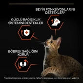 Pro Plan Adult Somonlu Yetişkin Kedi Maması 1,5Kg - 1