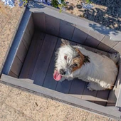 Ferplast Argo 60 Ahşap Köpek Kulübesi - 6