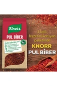 Knorr Baharat Serisi Pul Biber 65 gr X 4 Adet - 3