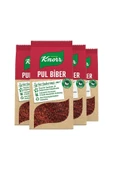 Knorr Baharat Serisi Pul Biber 65 gr X 4 Adet - 2