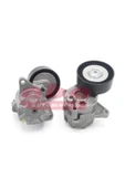 ABA 25757259 Alternatör Gergi Rulmanı - 1