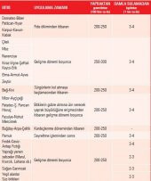 İGSAŞ 20.20.20 Toz Gübre 25 KG - 3