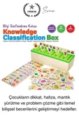 Premium Ahşap Bilgi Sınıflandırma Kutusu Zeka Geliştiren Eğitici Öğretici Çocuk Oyuncak El Beceri - 2