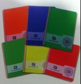 Alex Schoeller Spiralli Çizgili Defter A4 80 Yaprak - 1