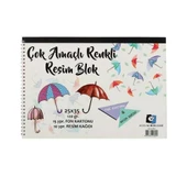 Alex Schoeller Spiralli Çok Amaçlı Resim Defteri 25x35 cm 25'li thumbnail 1