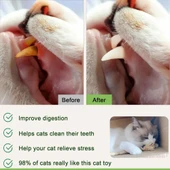 Doğal Kedi Çiğneme Çubuğu Oyuncağı - 22cm Bohe Tarzı - 5