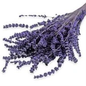 Lavanta Demeti Mor Kurutulmuş Çiçek 40-50 cm - 3