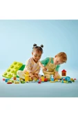 LEGO Duplo Classic Lüks Yapım Parçası Kutusu 10914 - 7