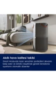 Electrolux EPO60571DG Pure 600 Hava Temizleme Cihazı - 4