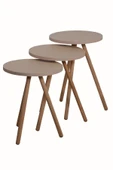 interGO Renkli Üçlü Zigon Sehpa Ahşap Ayaklı Yuvarlak Pastel Tasarım Cappuccino thumbnail 4
