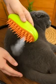 Evcil Hayvanlar İçin Buhar Püskürtmeli Tüy Temizleme Tarağı USB Şarjlı Masaj Etkili Kedi Köpek Tarak - 2