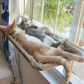 Yıkanabilir Pet Emme Hamak Yatak - Mavi - 2