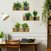 Raflı Bitki Tasarımlı Yapışkanlı Sticker 20*30 cm 3lü Set MC-663 thumbnail 3