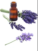 Doğaltercih Lavanta Uçucu Yağı 10 ml %100 Saf ve Doğal (Lavender Essential Oil) - 6