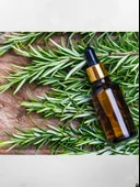Doğaltercih Biberiye Uçucu Yağı 10 ml Katkısız %100 Saf Ve Doğal (Rosemary Oil) - 4