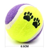 Süslüpati 3lü Renkli Desenli Tenis Topu Kedi Köpek Oyuncağı - 4