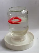 Byr 52 mm çapında dişli boğazlı 0.25 litrelik bir cam kavanoz için küçük tavuklar için otomatik ayarlanabilir vakum içen. (Plastik Aparattır!!!) 3D - 2