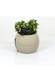Mercan Saksı 11.5x12 Cm 0.70 Lt - 1