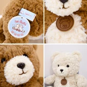 Doodle Ayıcık Peluş - Süt Beyazı Hediye Çantası ile Mavi Buket 35cm - 6