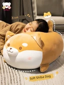 Shiba Inu Peluş Köpek Ragdoll - Şişman Shiba Inu - Her Gün Mutlu - 35cm - 2