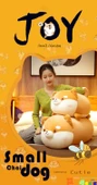 Shiba Inu Peluş Köpek Ragdoll - Şişman Shiba Inu - Her Gün Mutlu - 35cm - 8