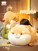 Shiba Inu Peluş Köpek Ragdoll - Şişman Shiba Inu - Doğum Günün Kutlu Olsun - 70cm - 6