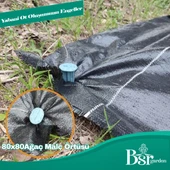 Ağaç Taban Örtüsü 80x80 20 Adet Bsr Garden - 5