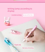 Görünmez UV Işık Marker Kalemi - 2'li Takım Pudra + Mor - 12