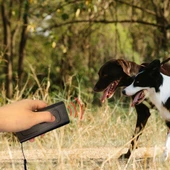 Ultrasonik Zarar Vermeyen Köpek Uzaklaştırıcı ve Eğitici Cihaz - 5