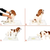 30 lu Köpek Tuvalet Eğitim Pedi - Kullan At Çiş Pedi - 90 X 60 Cm - 1