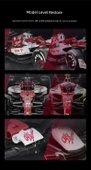 Alfa Romeo F1 Yarış Araba Modeli - Kırmızı - 1:24 Ölçek - 283 Parça - 12
