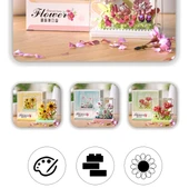 DIY Çiçek Yapı Blokları Seti - Peony - Akrilik Kutu - 11