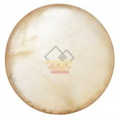 GİTAR BAS EXTREME (XB50BK) - 1